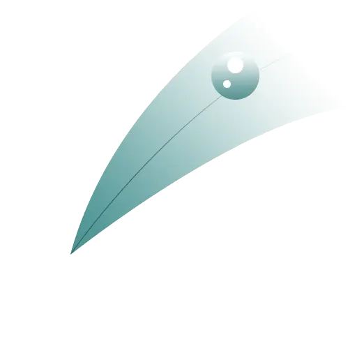 resetsw正负极怎么分